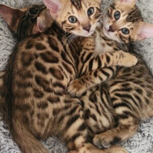 Meet Nancy & Jerry