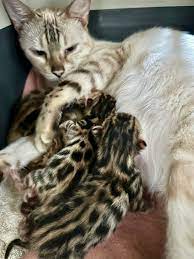 images (7)